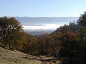 Low Gap park disc golf course - view from the 7th hole