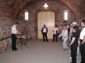 Wine tasting in the cellars