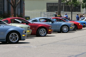 The 'herd' lined up at the starting point in Berkeley