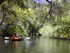 Kayaking down the inlet