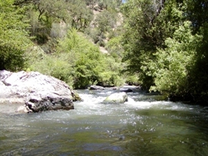 Lake Mendocino inlet