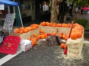 The Ukiah Skate Park committee booth