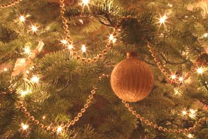 Our tree