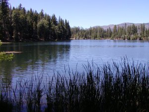 View of Letts Lake