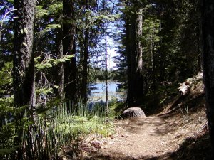 Trail around Letts Lake