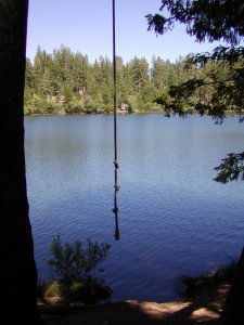 Rope swing at Letts Lake