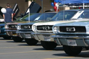 Row of classic Mustangs