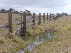 Former cattle fencing at Pt. Cabrillo Lighthouse