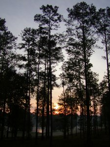 Sunrise over lake