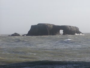 Goat Rock, Sonoma County coast