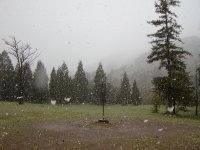 Snowing in Low Gap park