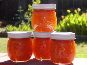 Apricot preserves