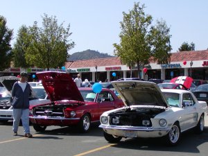 20th Annual Mendocino Mustangs car show