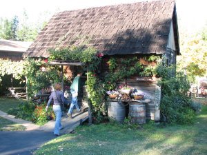 Husch Vineyards tasting room