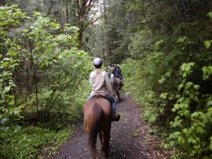 Riding down the forest trail