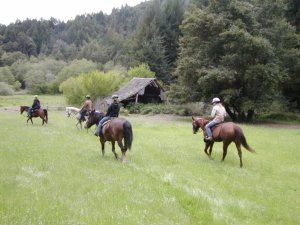 Through the grassy meadow and past the barn