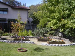New backyard garden area