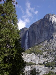 Yosemite Valley-Lower Yosemite Falls trail