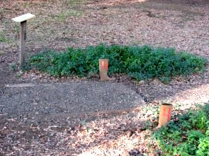 Tee #4 on the Anderson Valley Brewing Company disc golf course