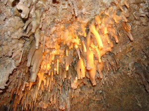 'Baby' stalagtites inside Cave of the Winds
