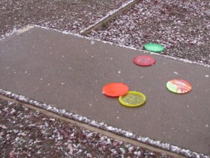 Discs and snow on tee 1