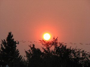 Sunrise during wildfires