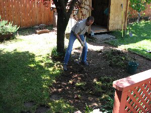 Bob clearing patio area of grass