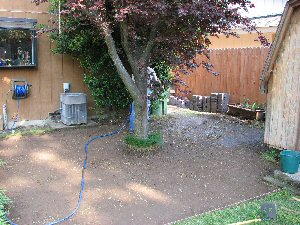 Packed earth after lawn removed