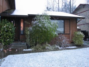 Snow falling in front of our house