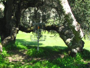 Tough disc golf basket at Anderson Valley Brewing Company's course