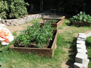 Vegetable garden