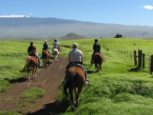 Riding in the valley at the base of Mauna Loa