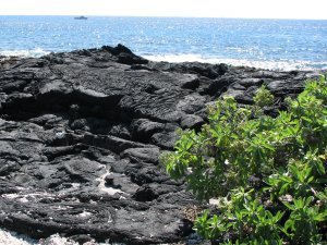 Old Kona Airport beach park