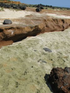 Sand washed up from Green Sand Beach