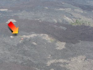 Tin roof surrounded by lava field