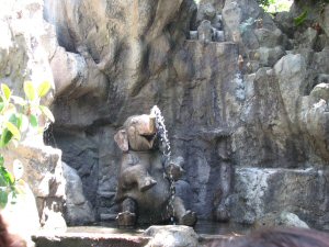 Jungle cruise