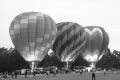 Sonoma County Hot Air Balloon Classic