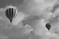 Sonoma County Hot Air Balloon Classic