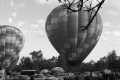 Sonoma County Hot Air Balloon Classic