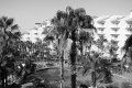 Vacation in Cabo San Lucas, Mexico