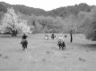 Ricochet Ridge Ranch ride