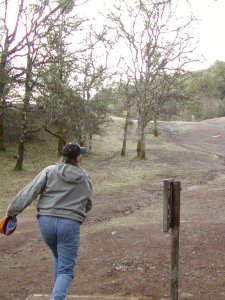 Teeing off at Low Gap's hole 7